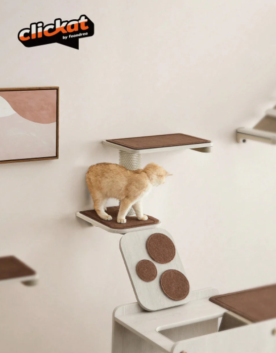 Katzenwand-Spielplatz - Machen Sie Ihr Zuhause zu einem Paradies für Katzen