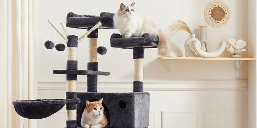 Katzenwohnung für große Katzen - Auch Katzen können ihren Traum-Liebesraum haben