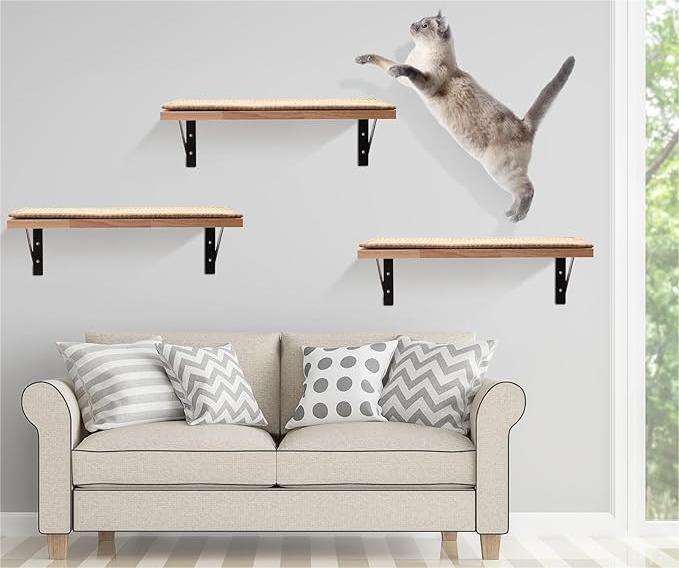 Enthüllung der besten Wandmontage-Katzenausstattungen des Jahres: Gestaltung einer feline Utopie