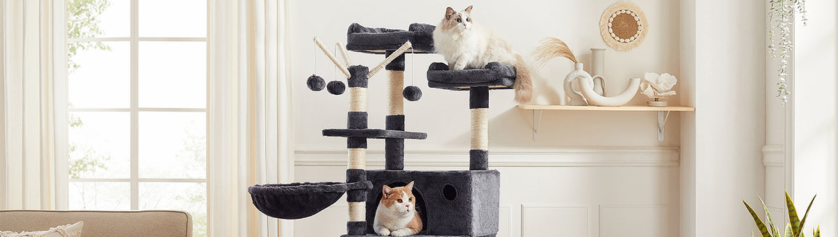 Zubehör für Katzen