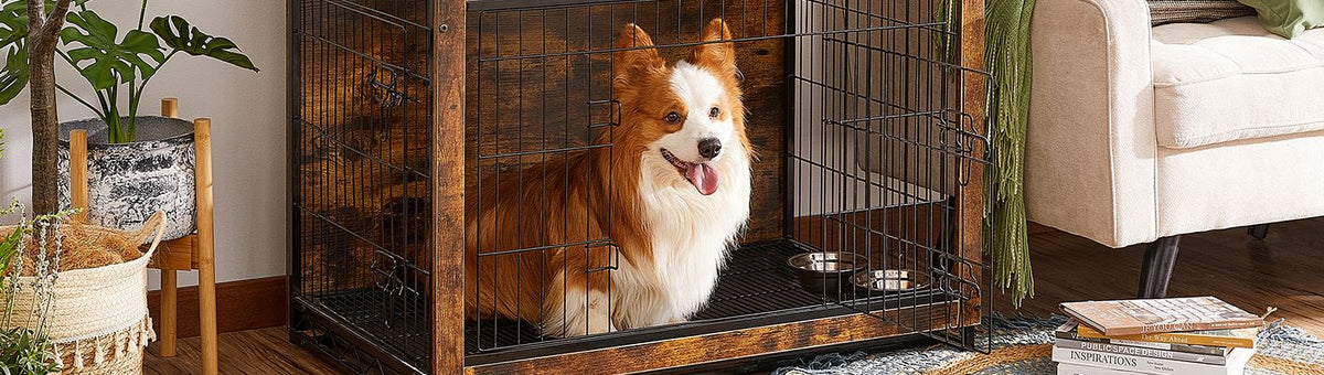 Zubehör für Hunde