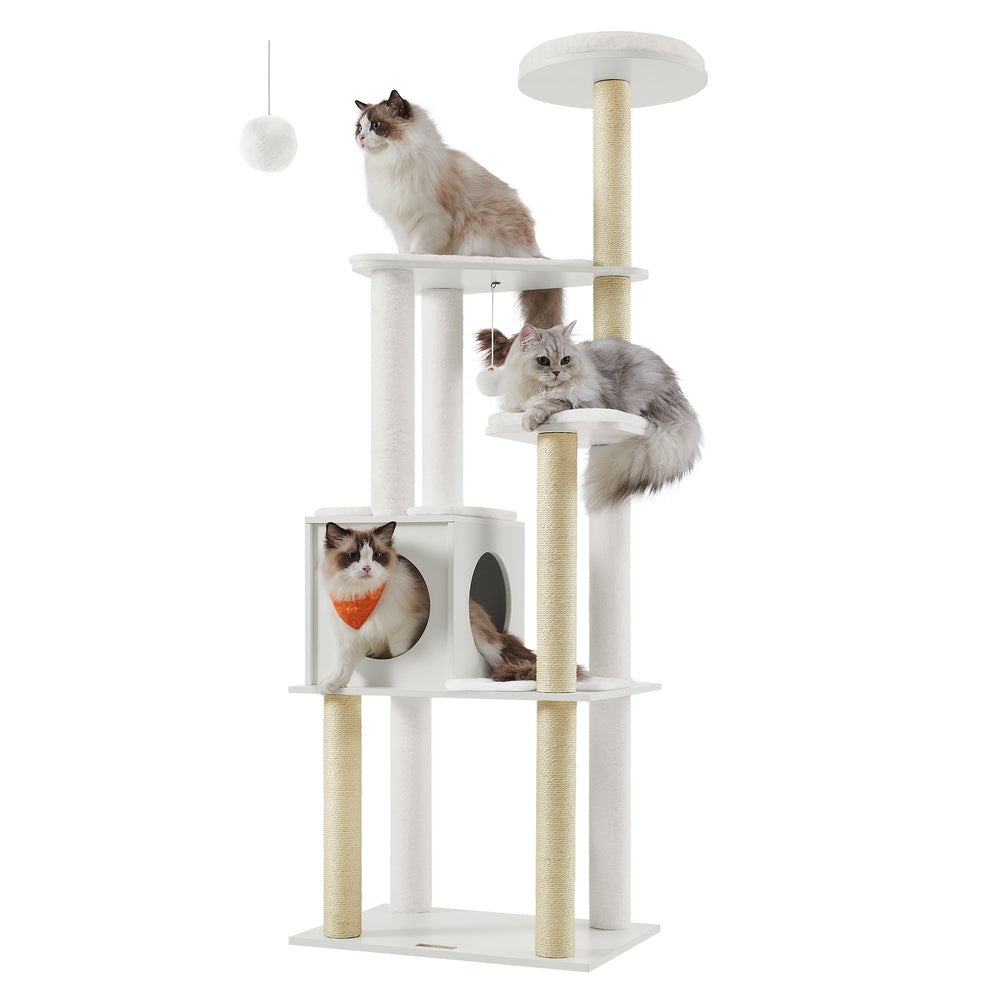 PCT166W01