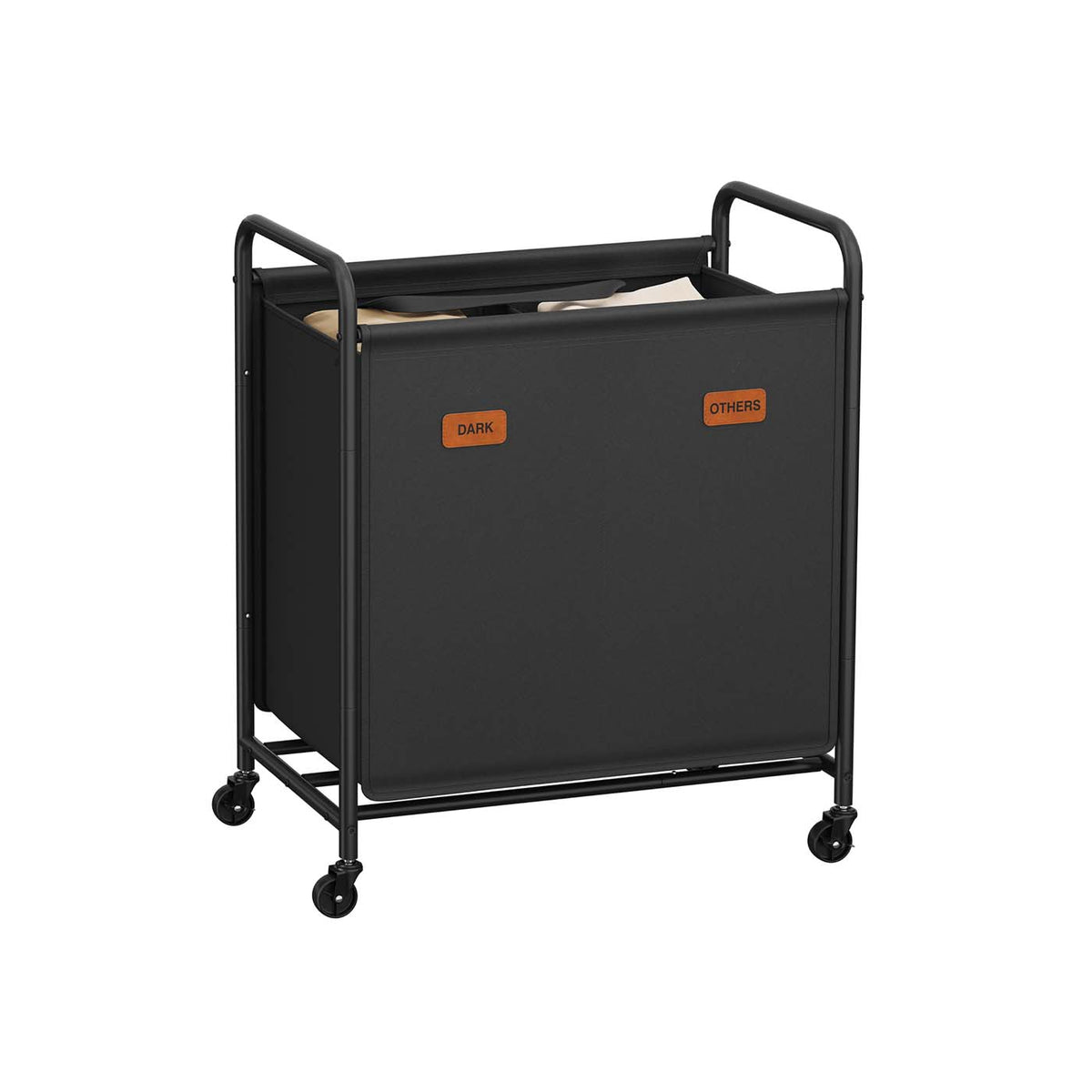 RLS210B01
